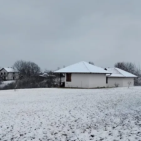 Apartmani Mladenovac Apartment *