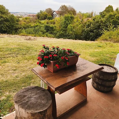 Apartmani Mladenovac *