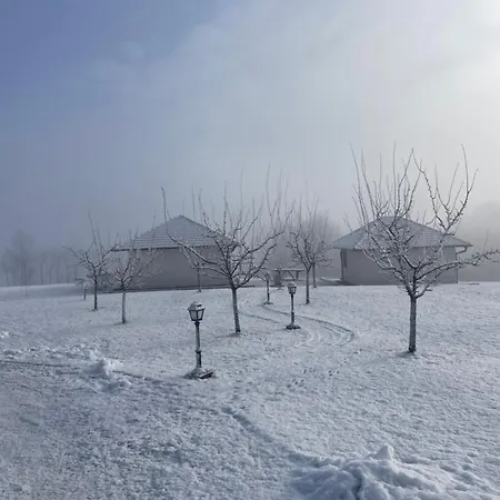 Apartmani Mladenovac Apartman *